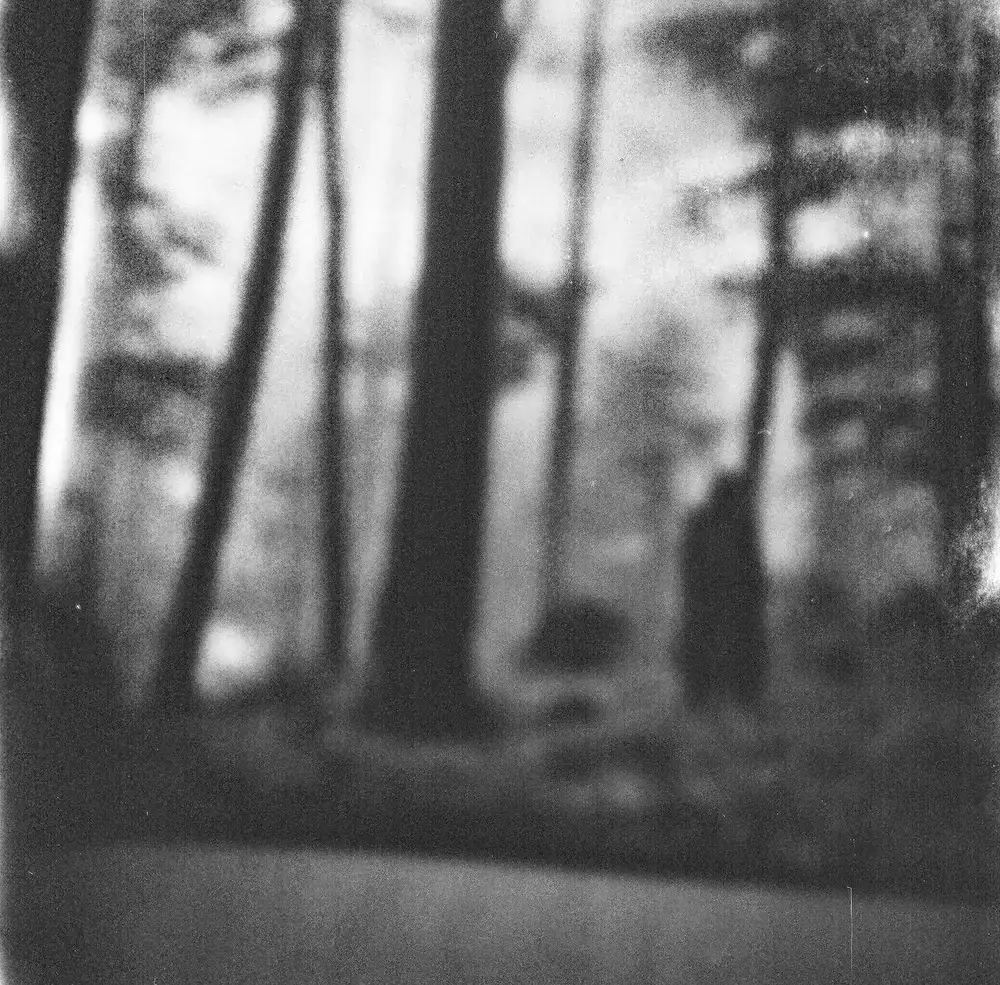 Artwork for The Silent Crown showing two silhouettes in a misty forest