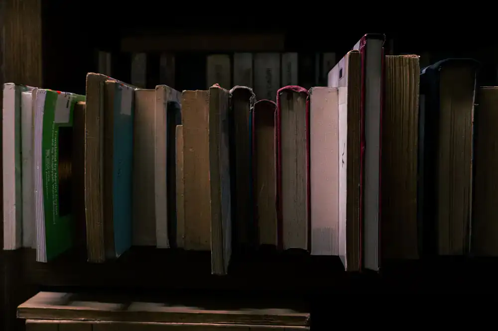 The Whispering Archives game cover showing an ancient library