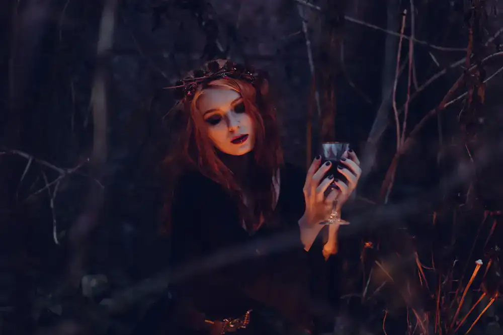 Dark magical forest scene